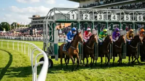 Value Betting Horse Racing — Calculate Edge & Find Overlays | RailForm